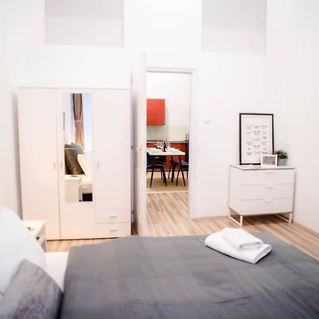 Very Central Spacious Ac Apartment 布达佩斯 外观 照片