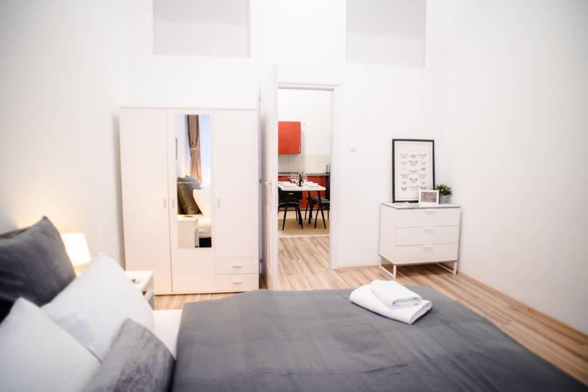 Very Central Spacious Ac Apartment 布达佩斯 外观 照片
